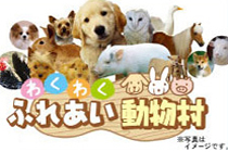 Exciting Animal Kinship Village