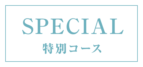 特別コースロゴ