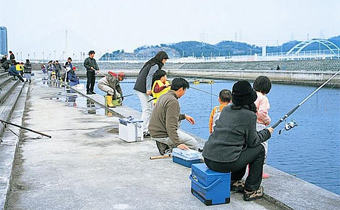 海洋釣魚池