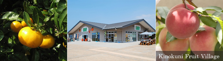 Kinokuni Fruit Village