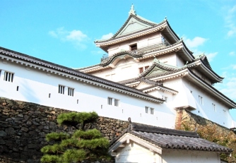 Wakayama Castle