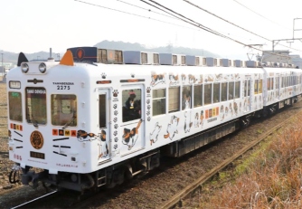 Tama Train