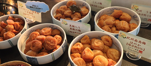 Most famous blanded ume 'Kishu Nanko-ume'