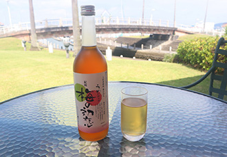 Ume Plum Syrup