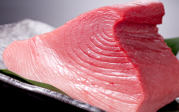 本まぐろ中とろ【冷蔵】