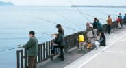 海釣り公園