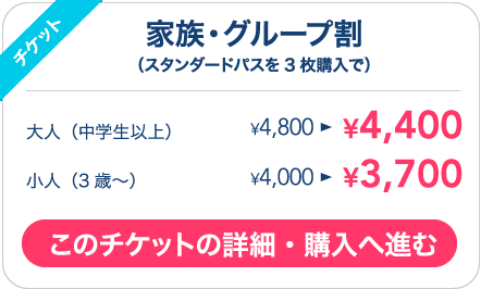 家族・グループ割
					（スタンダードパスを3枚以上購入で）