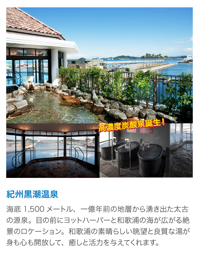 紀州黒潮温泉
