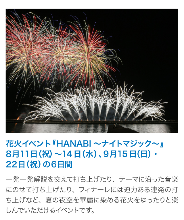 花火と音楽のスペシャルショー