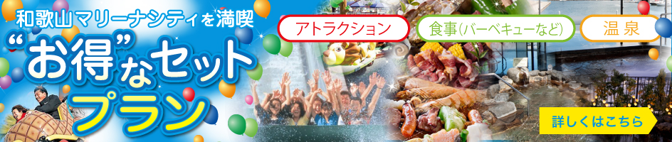お得なセットプラン