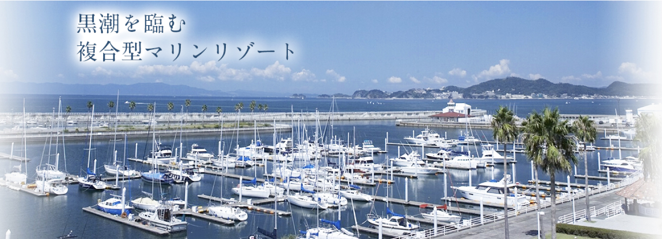 黒潮を臨む複合型マリンリゾート